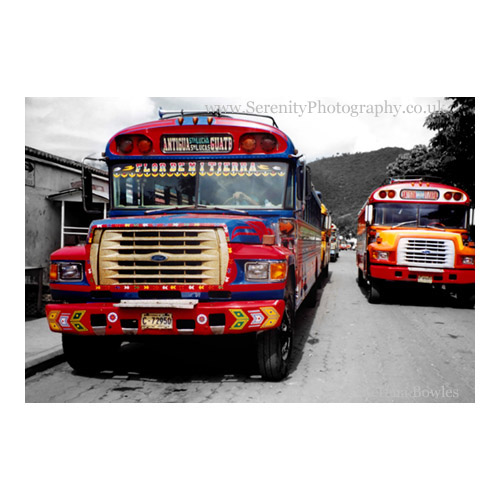 Colourful chicken buses lined up on a street in Guatemala. The vehicles are old American school buses, now plying passenger routes in Central America.